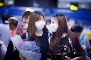 黑喵cp最新爆料是谁,神秘幕后黑手揭晓!” 第1张 黑喵cp最新爆料是谁,神秘幕后黑手揭晓!” 第1张