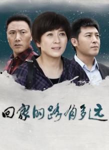 韩剧回家的路在线观看,穿越时空的感人旅程 第2张 韩剧回家的路在线观看,穿越时空的感人旅程 第2张